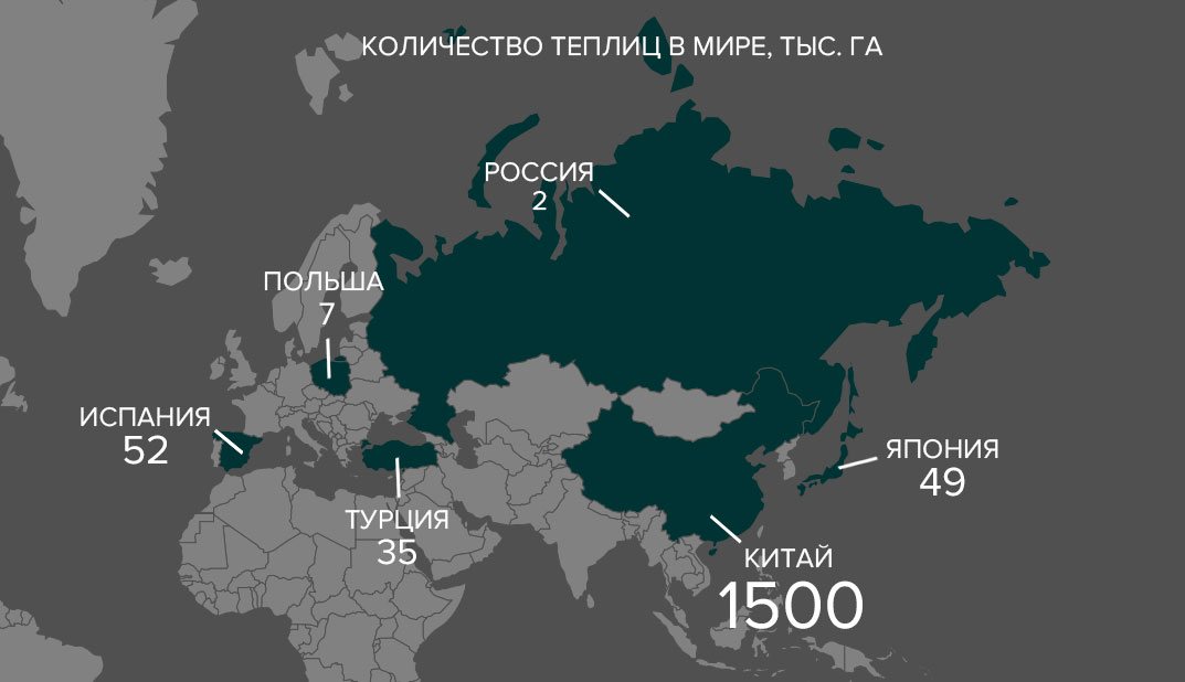Ниша еще свободна